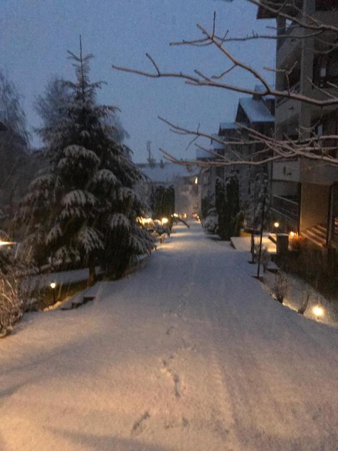 Private Spa Luxury Apartments Bansko Exterior foto